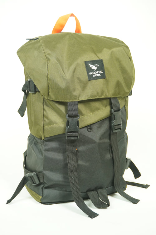 The Traveller backpack